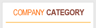 COMPANY CATEGORY