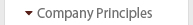 Company Principles